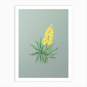 Vintage Yellow Perennial Lupine Flower Botanical Art on Mint Green n.0470 Art Print