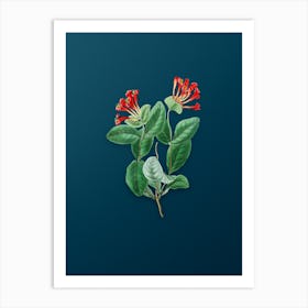 Vintage North West Honeysuckle Flower Botanical Art on Teal Blue Art Print