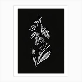 Black Cardamom Spices And Herbs Retro Minimal 1 Art Print