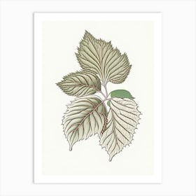 Raspberry Leaf Herb William Morris Inspired Line Drawing 1 Art Print