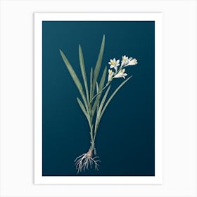 Vintage Gladiolus Xanthospilus Botanical Art on Teal Blue Art Print