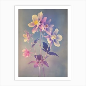 Iridescent Flower Columbine 4 Art Print