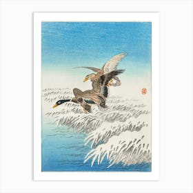 Pair Of Ducks Flying Over Snowy Reed, Ohara Koson Vintage Japanese Art Print