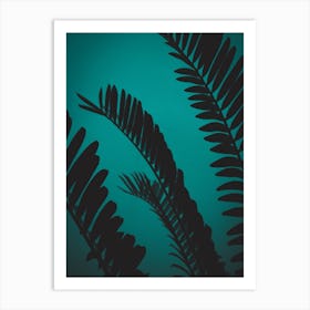 Green Shaded Palm Leaves Art Print