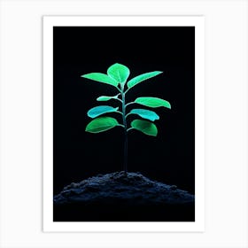 Small Green Plant On Black Background 6 Art Print