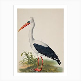 Stork James Audubon Vintage Style Bird Art Print
