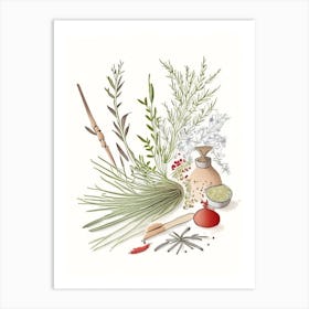 Butcher S Broom Spices And Herbs Pencil Illustration 4 Art Print