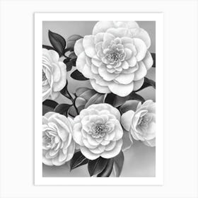 Camellia B&W Pencil 1 Flower Art Print