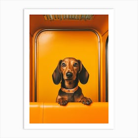 A Dachshund Dog 8 Art Print