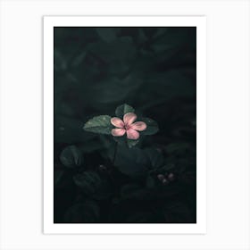 Pink Flower In Water 2 Art Print