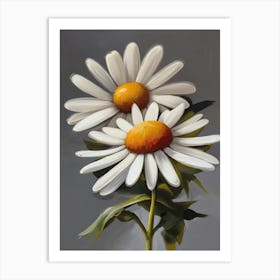 Denmark Marguerite Daisy Art Print