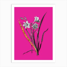 Vintage Daylily Black and White Gold Leaf Floral Art on Hot Pink n.1117 Art Print