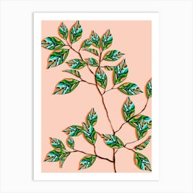 Peach Fuzz Botanical Art Print