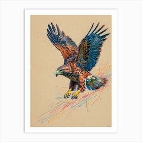 Hawk In Flight 2 Art Print