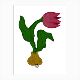 Tulip Art Print