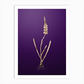 Gold Botanical Ixia Cepacea on Royal Purple n.1709 Art Print