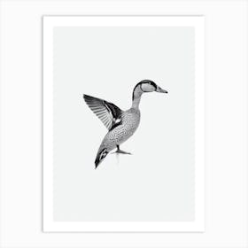 Mallard Duck B&W Pencil Drawing 1 Bird Art Print