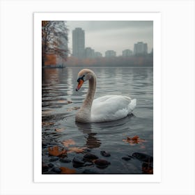 Swan In The Park 1 Art Print