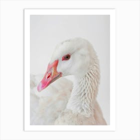 White Geese Art Print