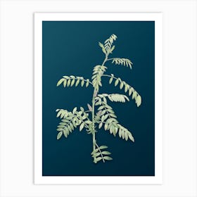 Vintage Flowering Indigo Plant Botanical Art on Teal Blue n.0437 Art Print
