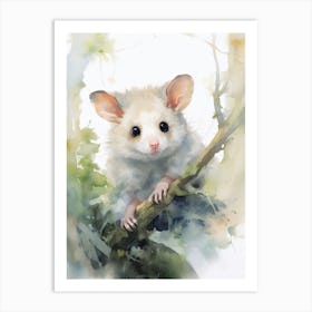 Light Watercolor Painting Of A Hidden Possum 1 Art Print
