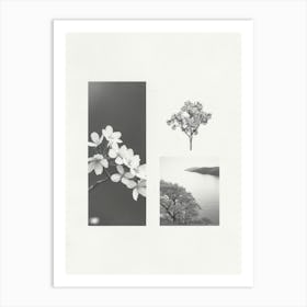 Cherry Blossom Flower Photo Collage 1 Art Print