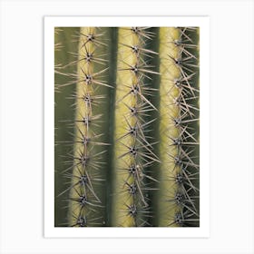 Cactus Spikes Art Print