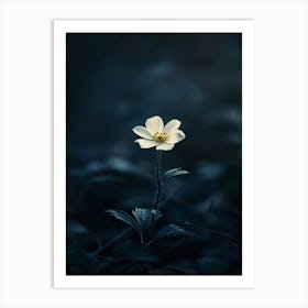 Single Flower In The Dark 113 Art Print