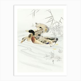 Three Ducks In Shallow Water With Reeds (1900 1930), Ohara Koson Art Print
