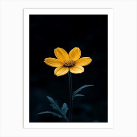 Single Yellow Flower 32 Art Print