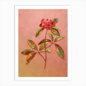 Vintage Mountain Laurel Branch Botanical Art on Peach Pink n.0604 Art Print