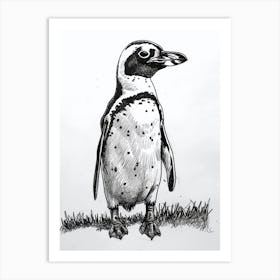 African Penguin Standing Tall And Proud 1 Art Print