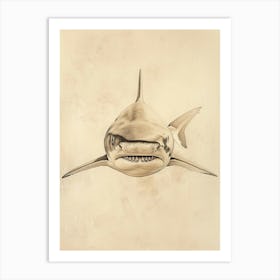 Vintage Bull Shark Pencil Illustration 2 Art Print