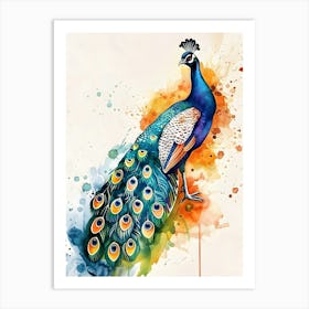 Peacock Watercolor Painting Art Print