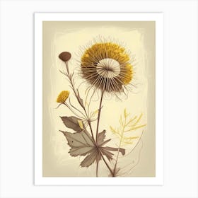 Dandelion Spices And Herbs Retro Drawing 1 Art Print