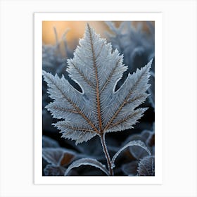 Frosty Maple Leaf Art Print