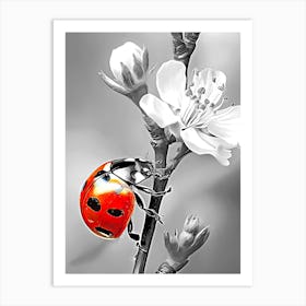 Ladybug On A Flower Art Print