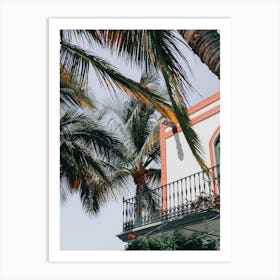 Palm Trees In Front Of A House Art Print