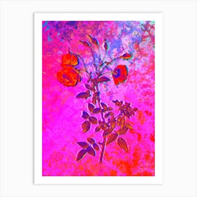 Red Rose Botanical in Acid Neon Pink Green and Blue n.0250 Art Print