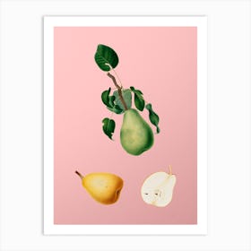 Vintage Winter Citron Botanical on Soft Pink n.0565 Art Print