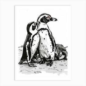 African Penguin Huddling For Warmth 3 Art Print