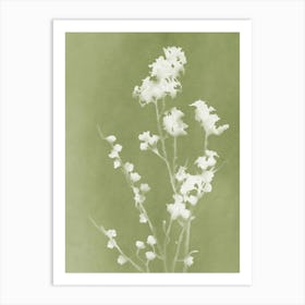 Monograph Green Art Print