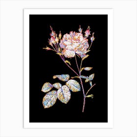 Stained Glass Pink Cumberland Rose Mosaic Botanical Illustration on Black n.0224 Art Print