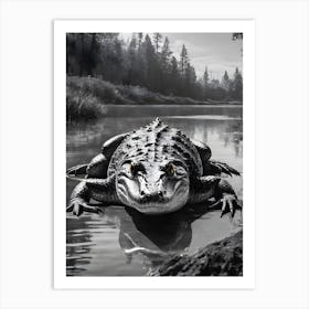 Alligator Art Print