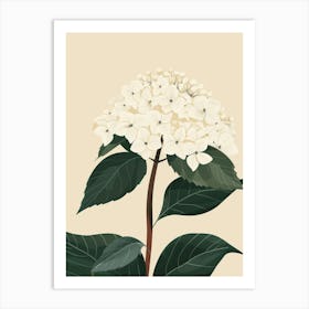 Hydrangea 8 Art Print