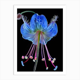 Blue Flower 3 Art Print