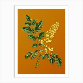 Vintage Golden Rain Tree Botanical on Sunset Orange n.0647 Art Print