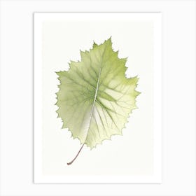 Grape Leaf Illustration Art Print