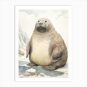 Storybook Animal Watercolour Walrus 1 Art Print