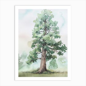 Sequoia Tree Atmospheric Watercolour Painting 8 Art Print